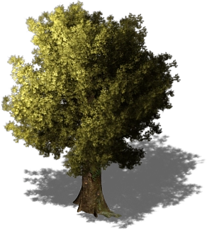 exo terra tree frog terrarium 45x45x60cm