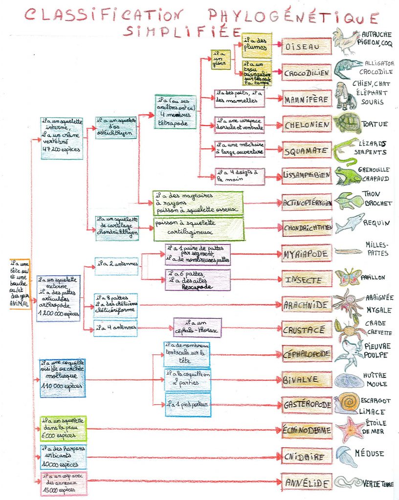 le monde des reptiles