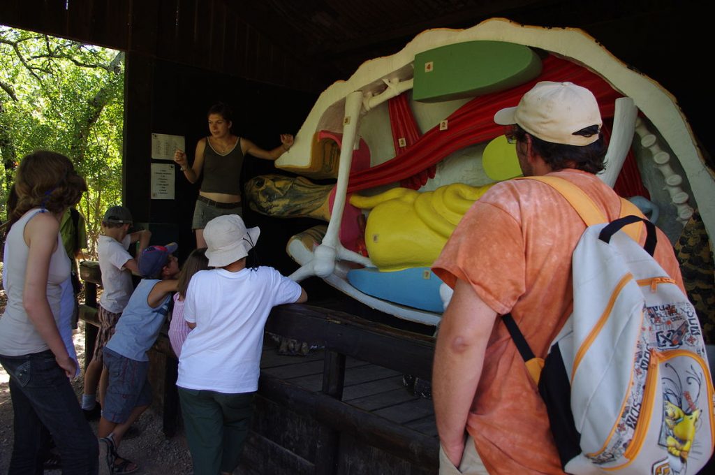 photos enclos tortue