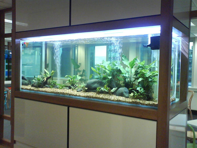 terrarium bois en kit