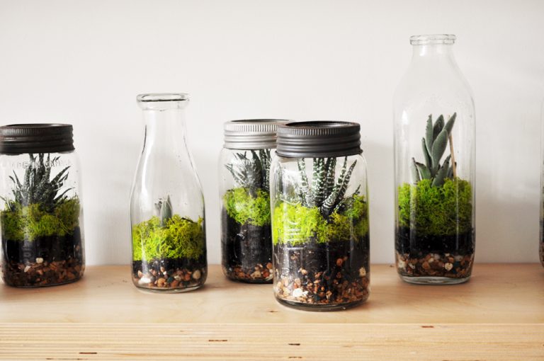 INOOMP Lot De 3 Terrariums En Verre Pour Plantes - Globes Décoratifs Table Et Air