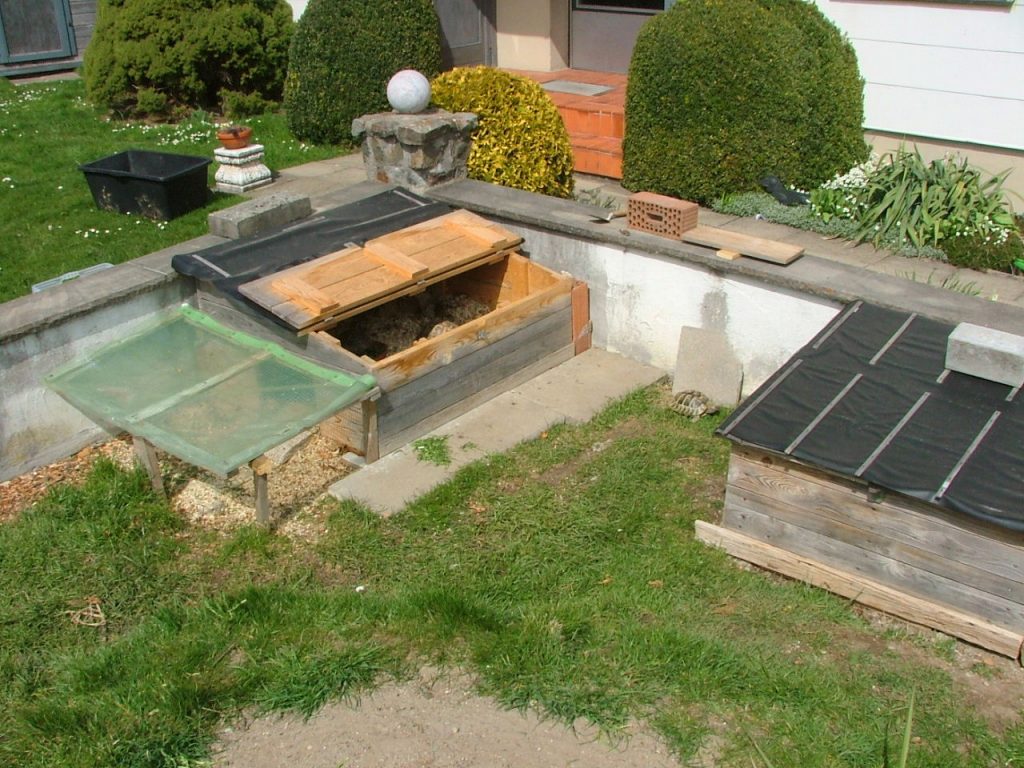 Comment retrouver une tortue dans un jardin ?