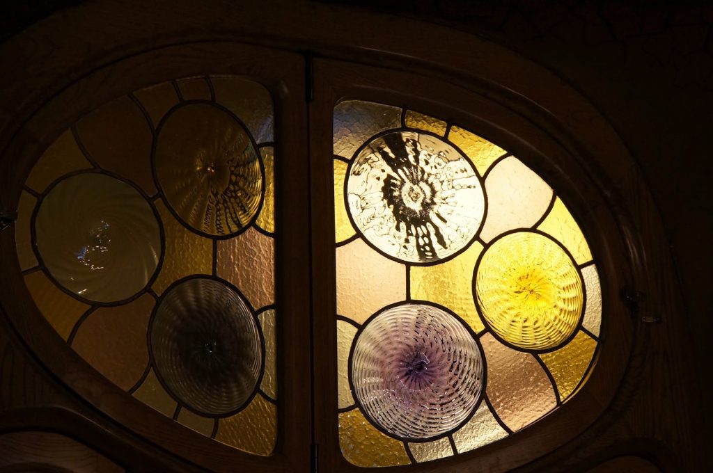 Quelle tortue d'eau choisir ?