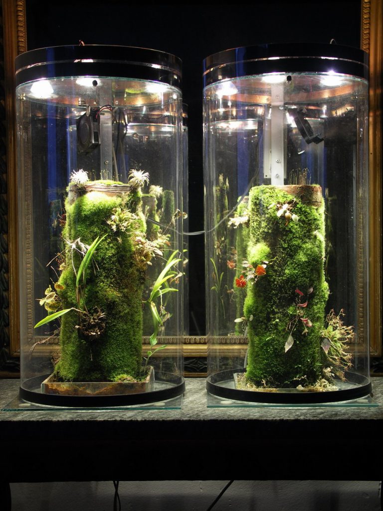 vivarium pour serpent