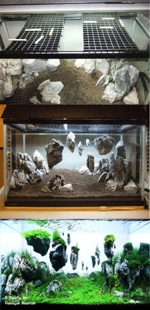vivarium pour serpent